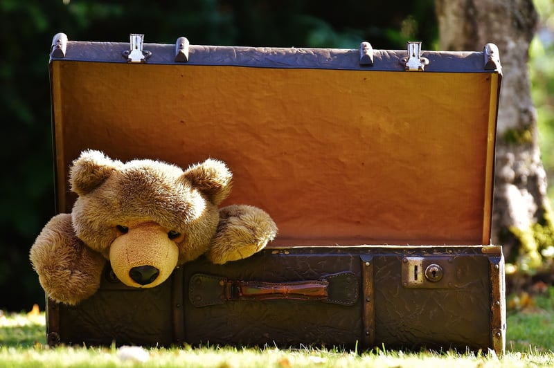 Suitcase Wall Shelf